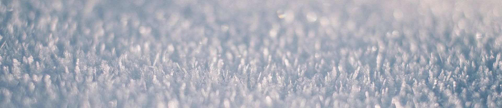 photo neige carbonique MCO2 service